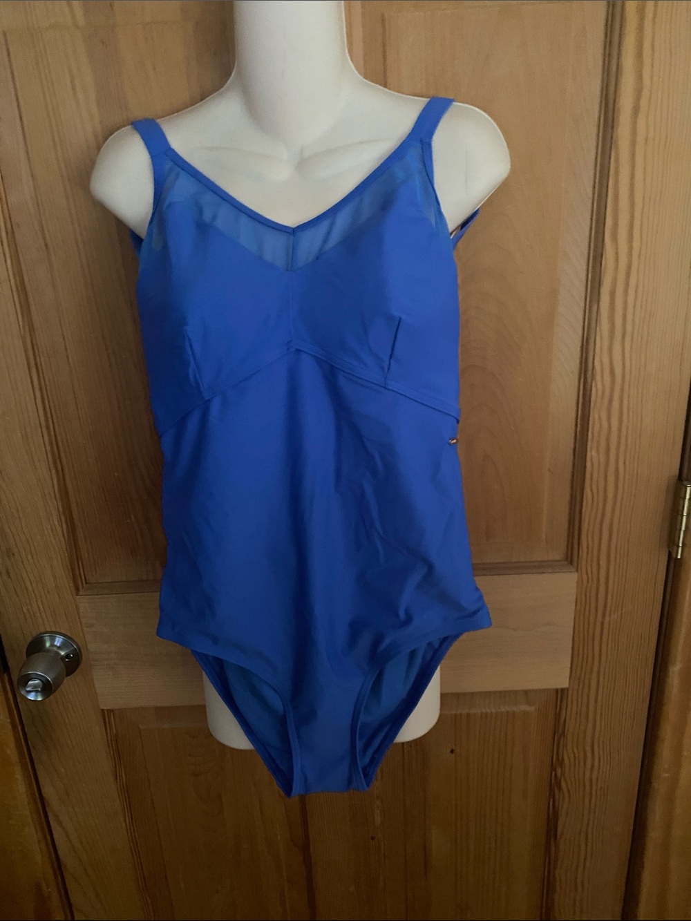 Speedo Royal Blue One-Piece Swimsuit